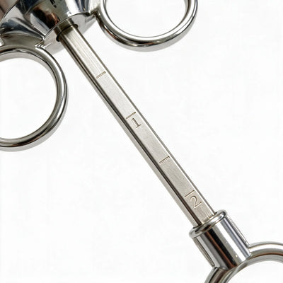 Inyector de Carne en Acero Inoxidable 60ml | 3 Boquillas + Accesorios